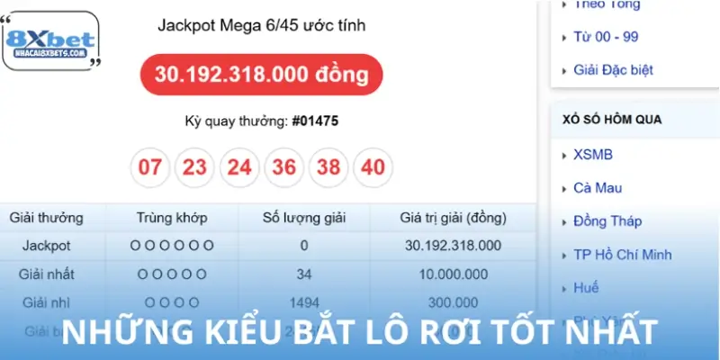 Các phương pháp bắt lô rơi hiệu quả được áp dụng phổ biến Các phương pháp bắt lô rơi hiệu quả được áp dụng phổ biến